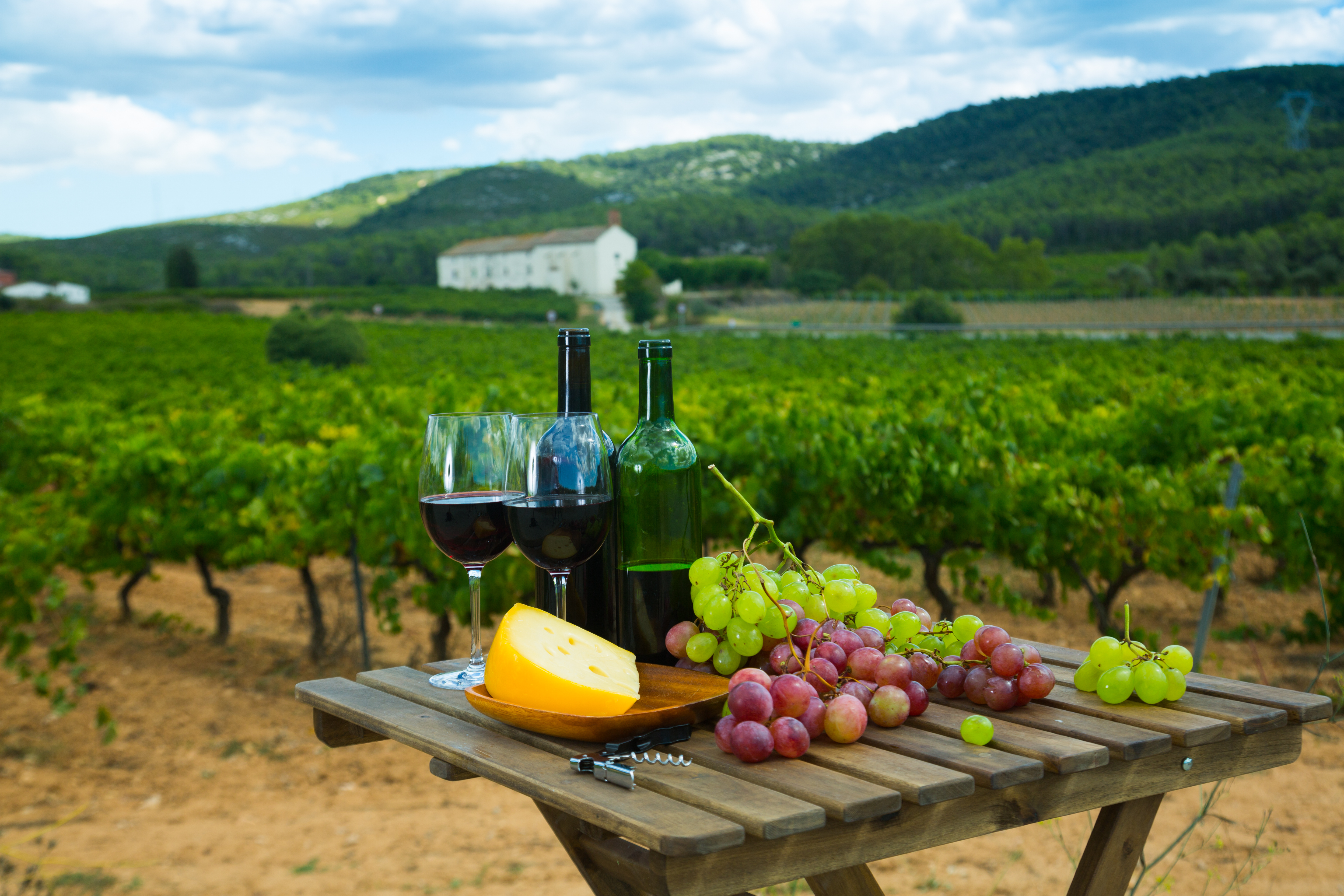 Saint Croix Vineyards